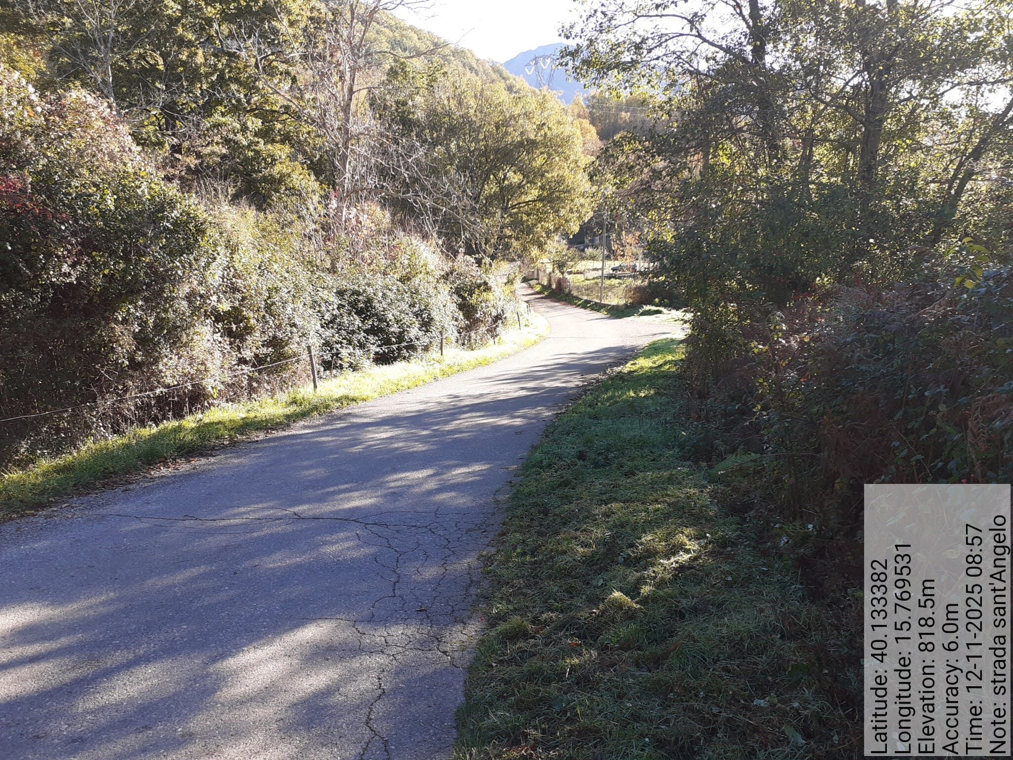 Galleria Fotografica Immagine