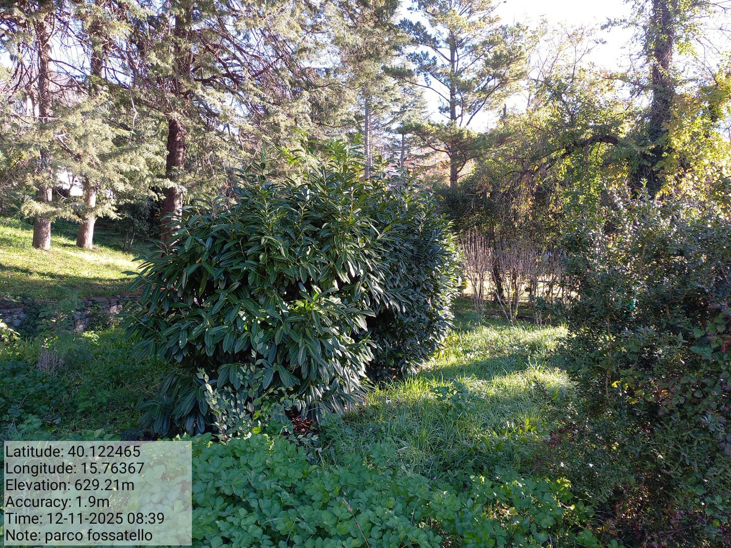 Galleria Fotografica Immagine