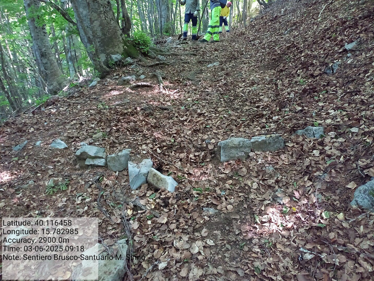 Galleria Fotografica Immagine