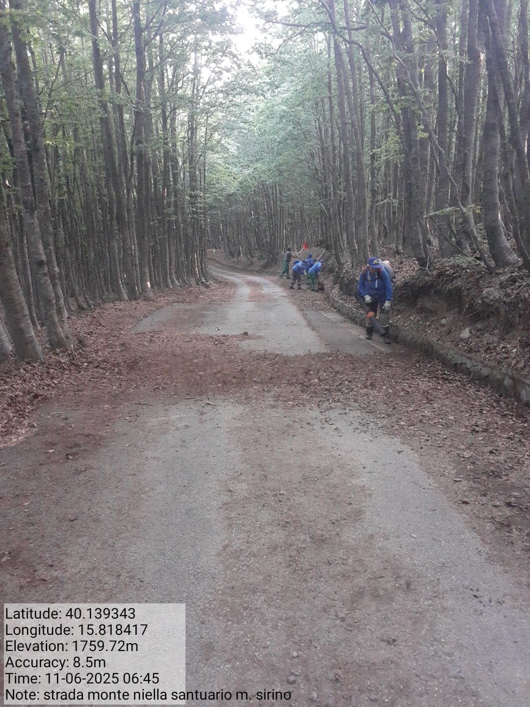 Galleria Fotografica Immagine