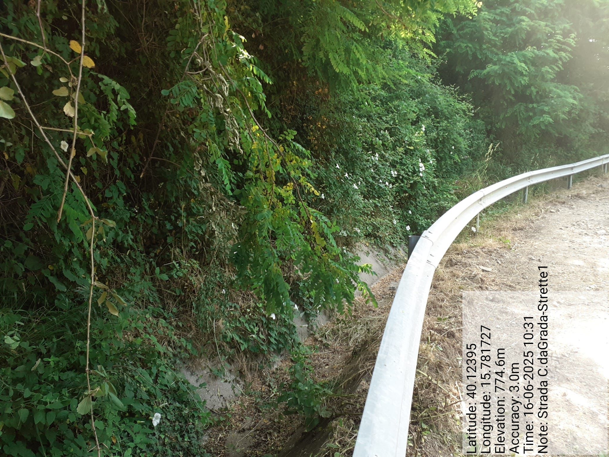 Galleria Fotografica Immagine