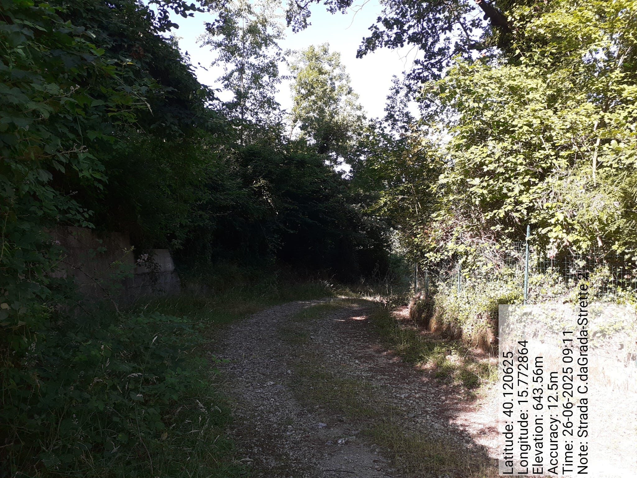 Galleria Fotografica Immagine