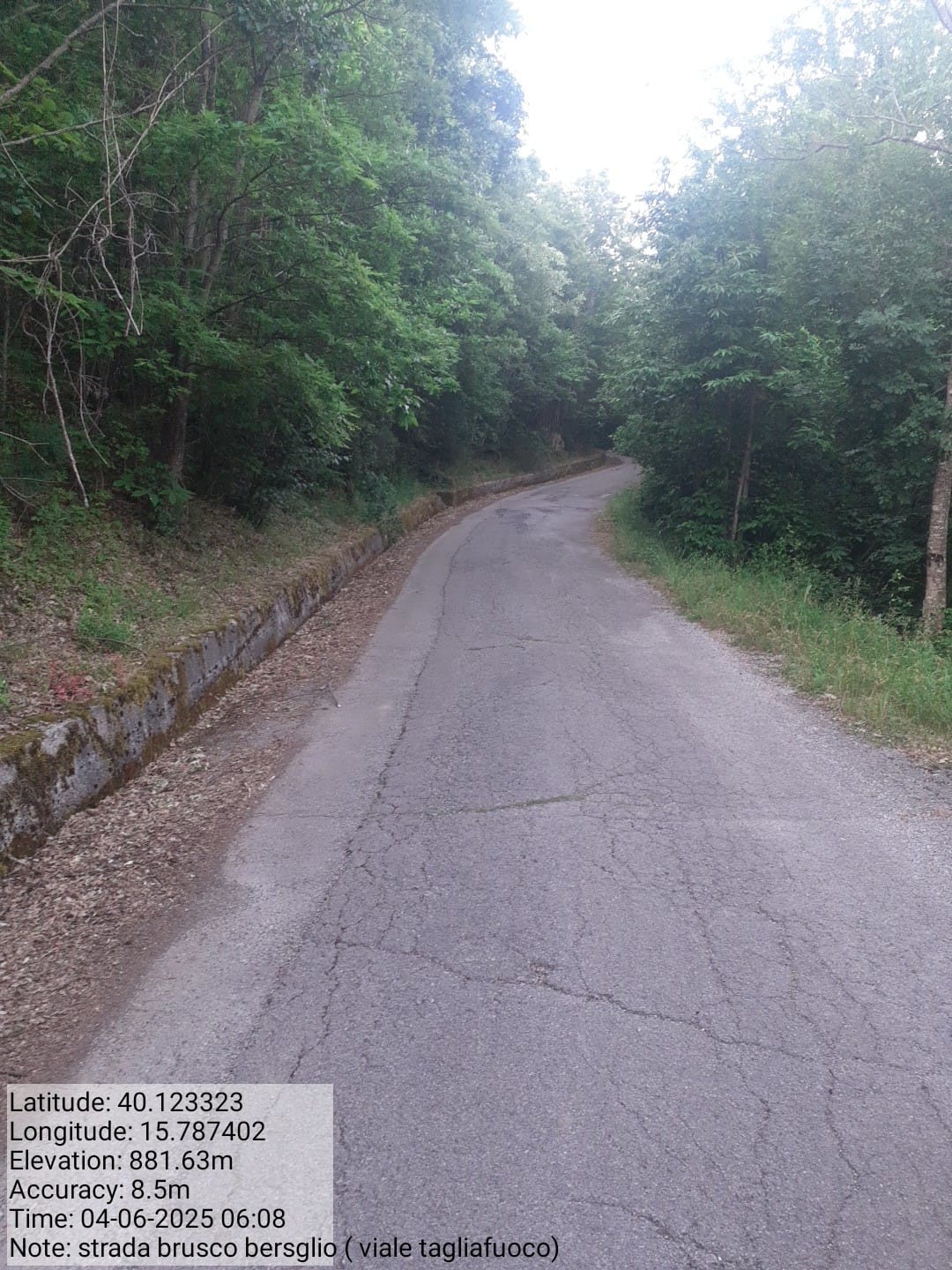 Galleria Fotografica Immagine