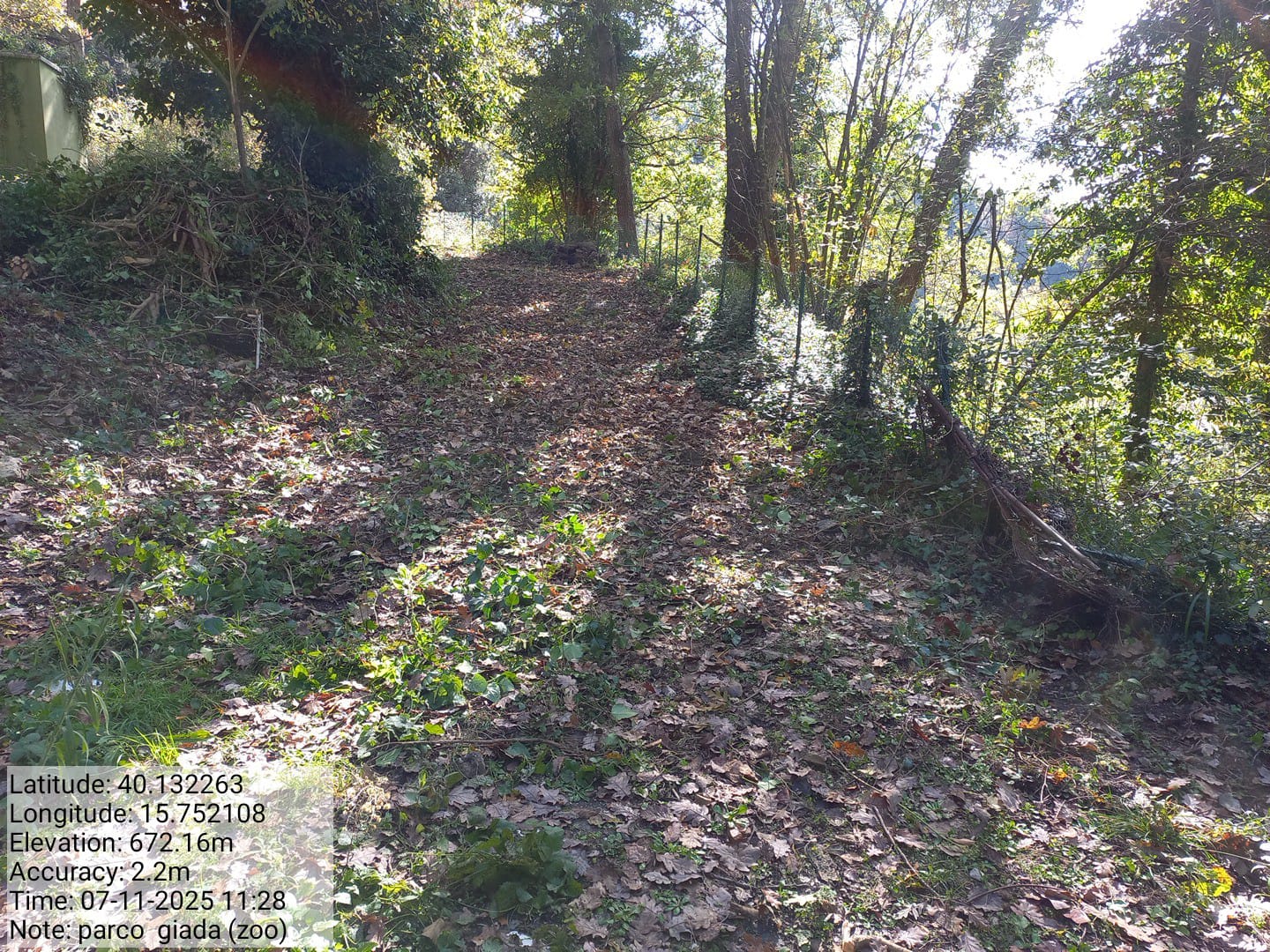 Galleria Fotografica Immagine