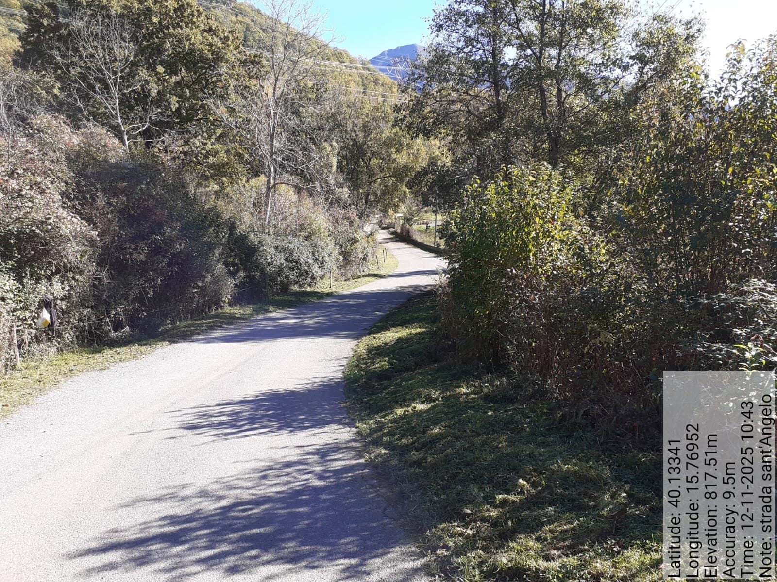 Galleria Fotografica Immagine