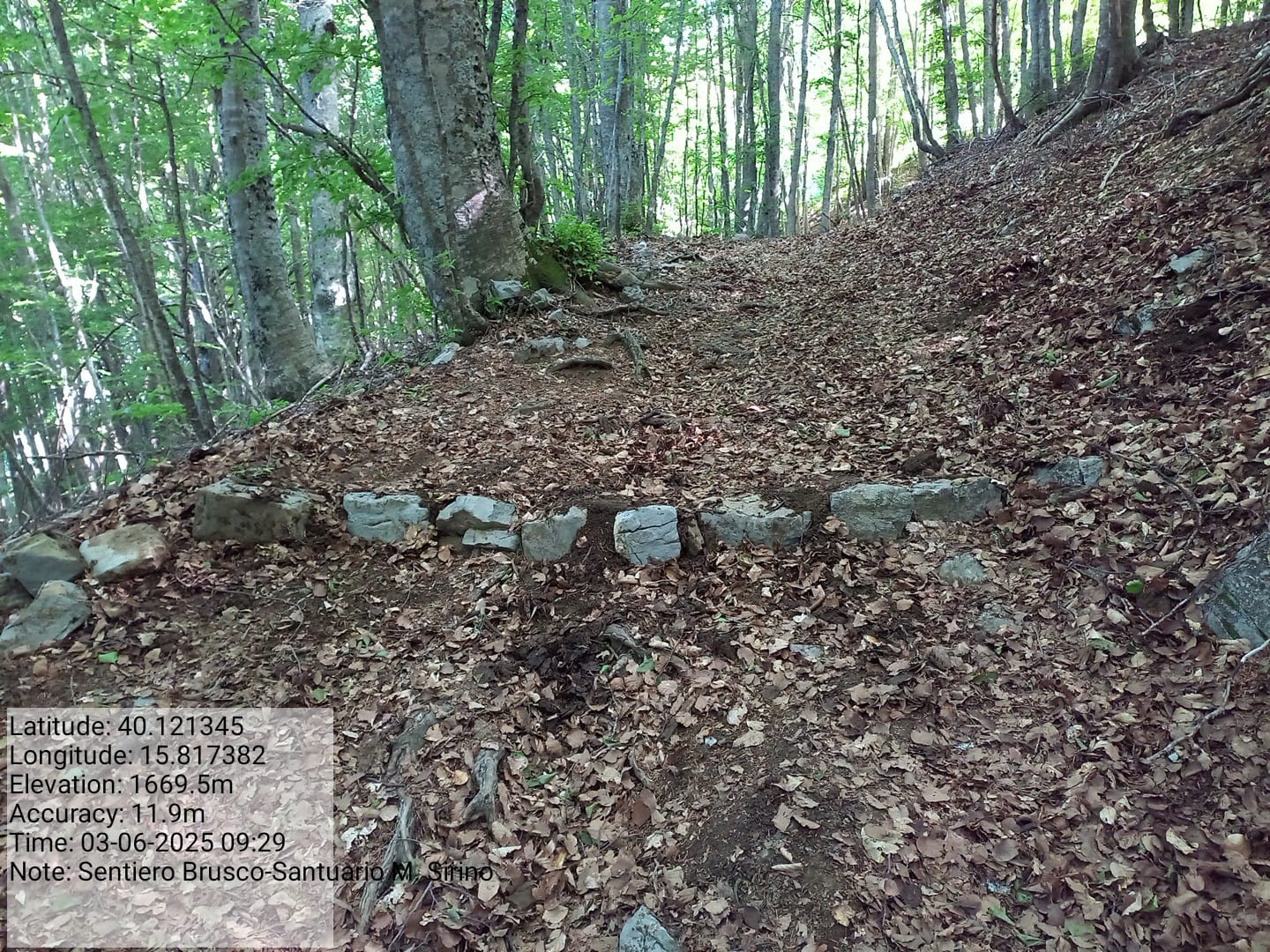 Galleria Fotografica Immagine