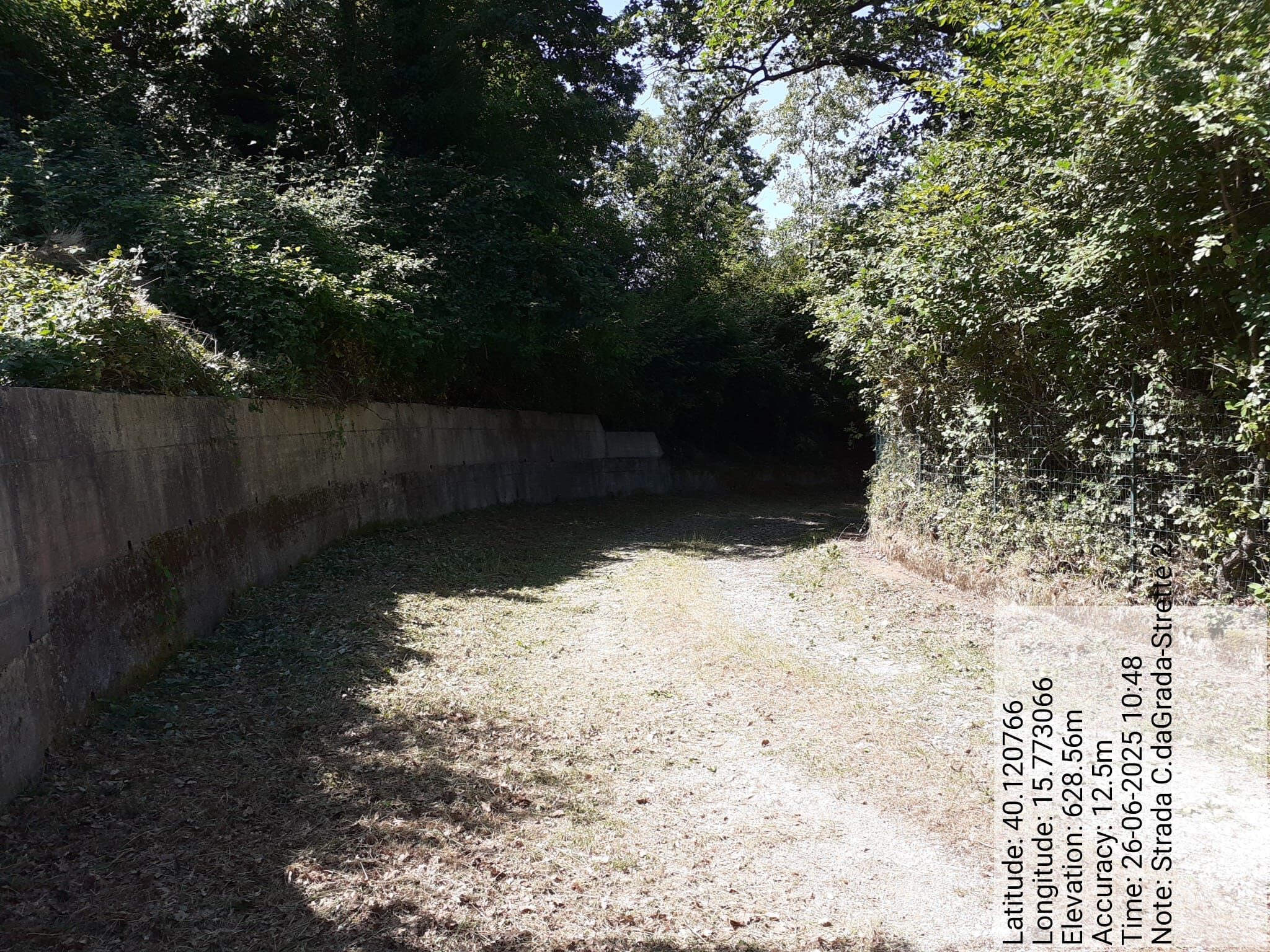 Galleria Fotografica Immagine