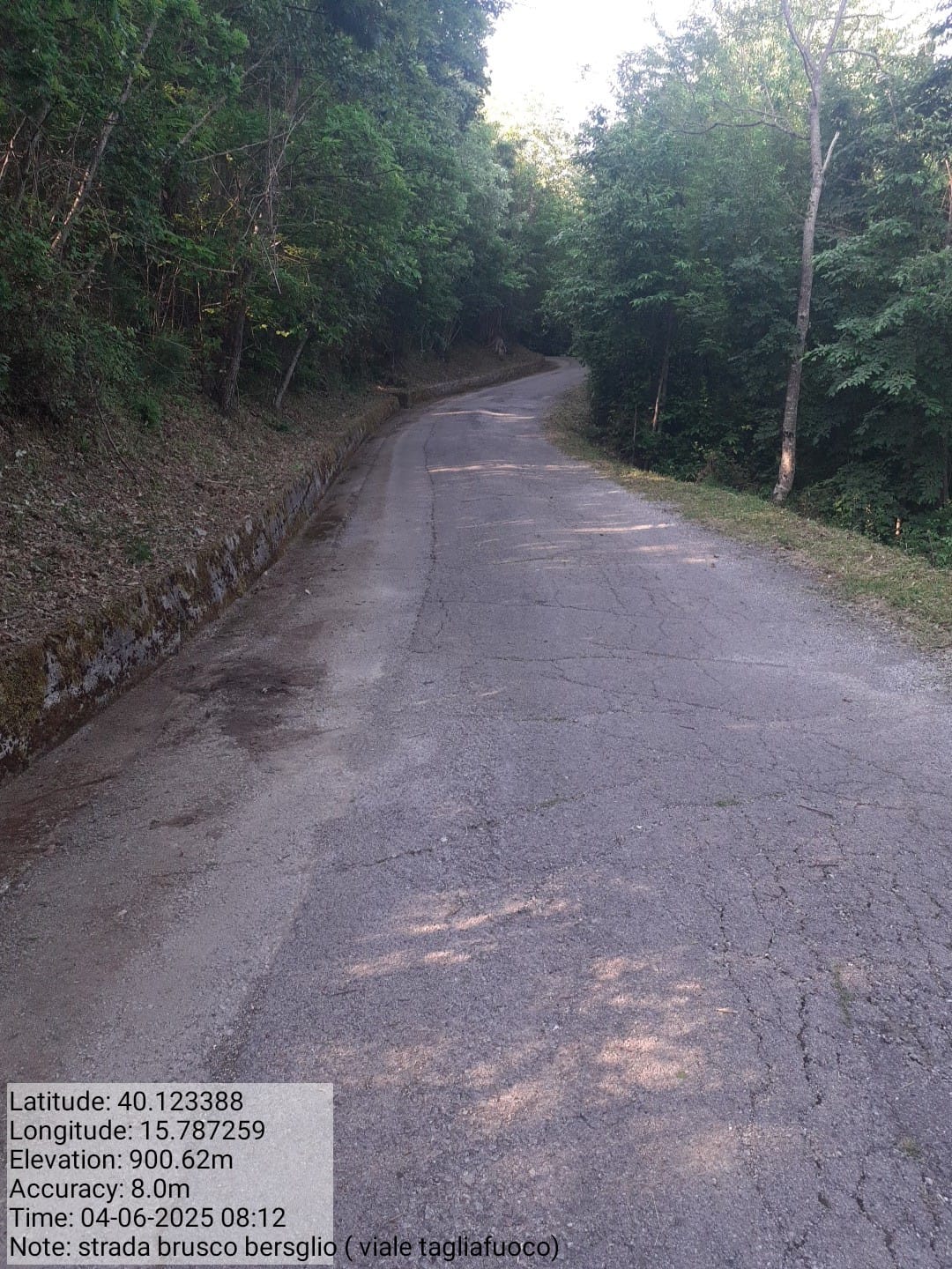 Galleria Fotografica Immagine