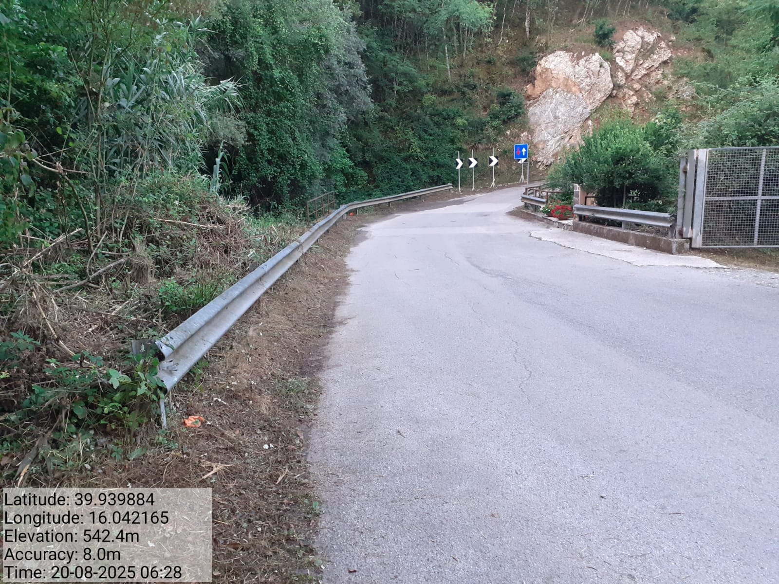 Galleria Fotografica Immagine