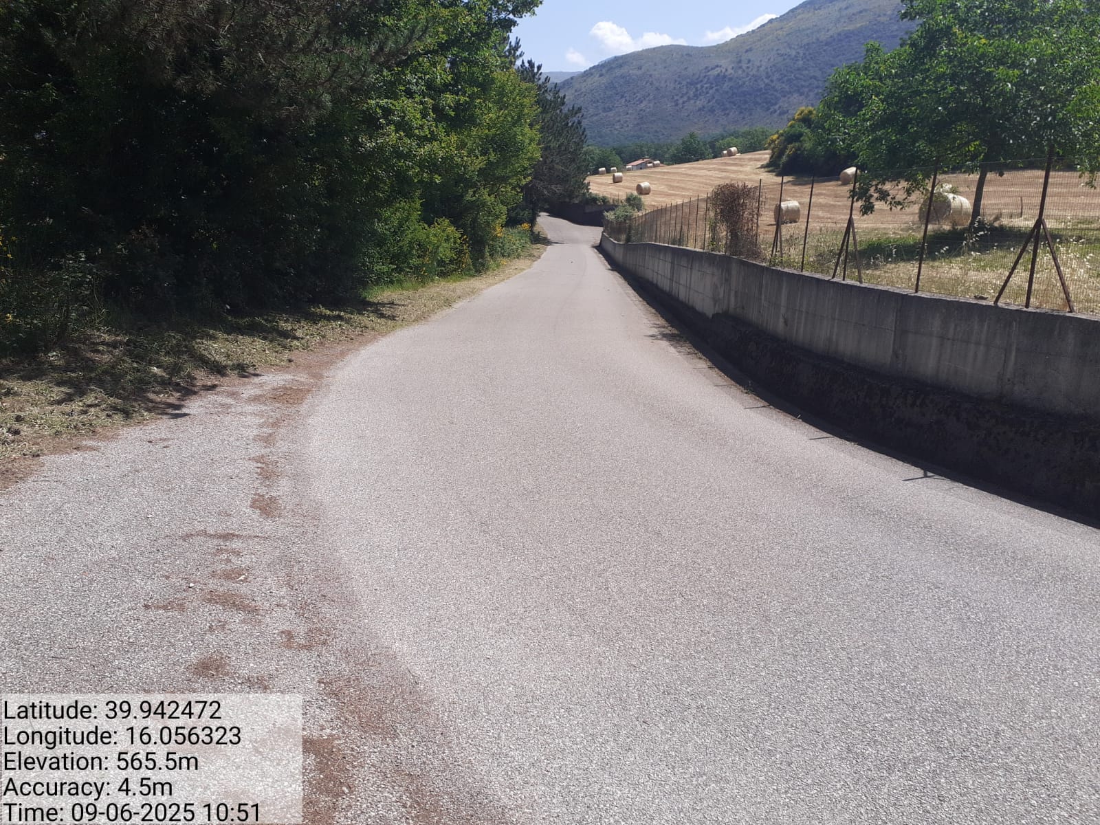 Galleria Fotografica Immagine