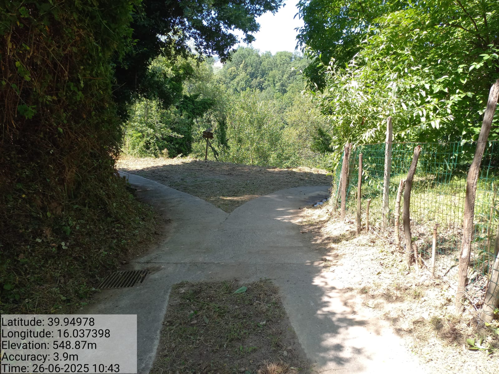 Galleria Fotografica Immagine