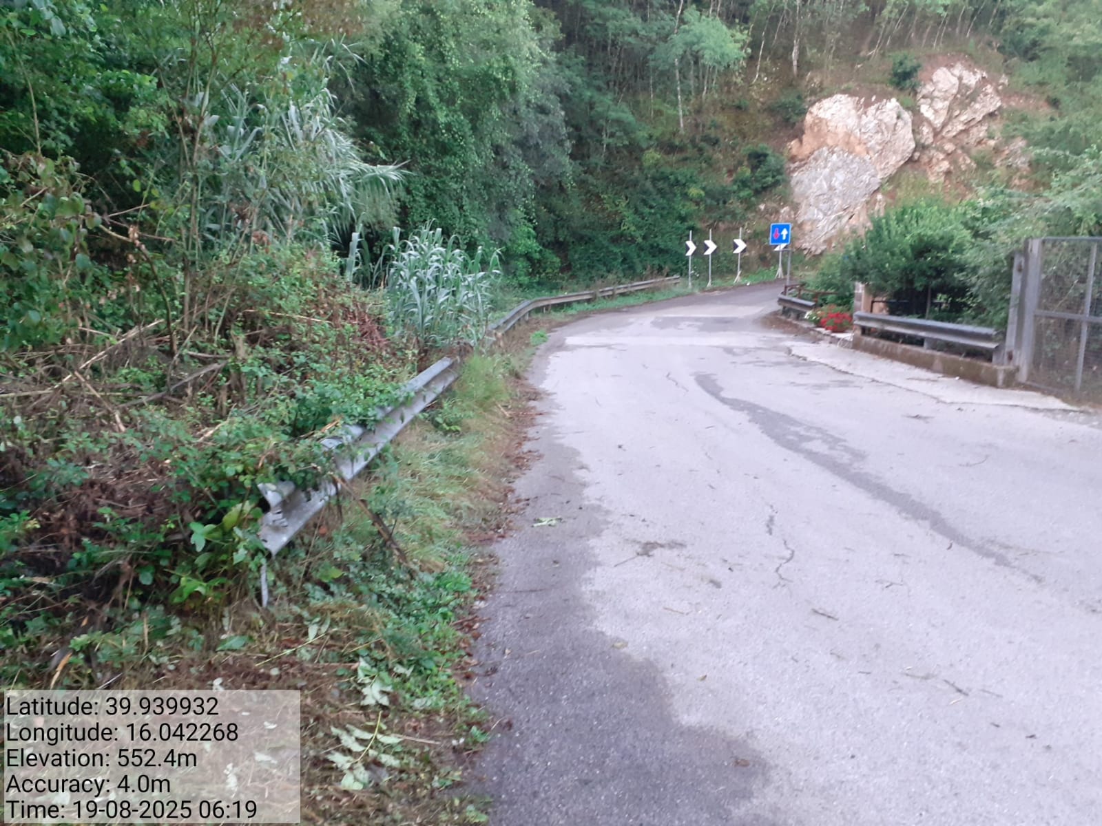 Galleria Fotografica Immagine