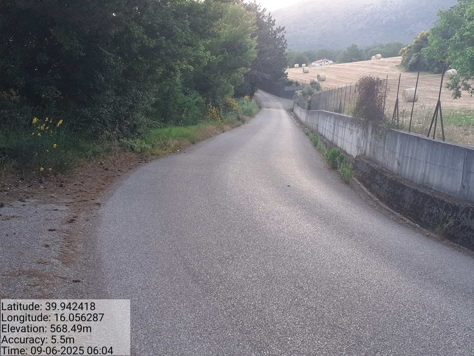 Galleria Fotografica Immagine