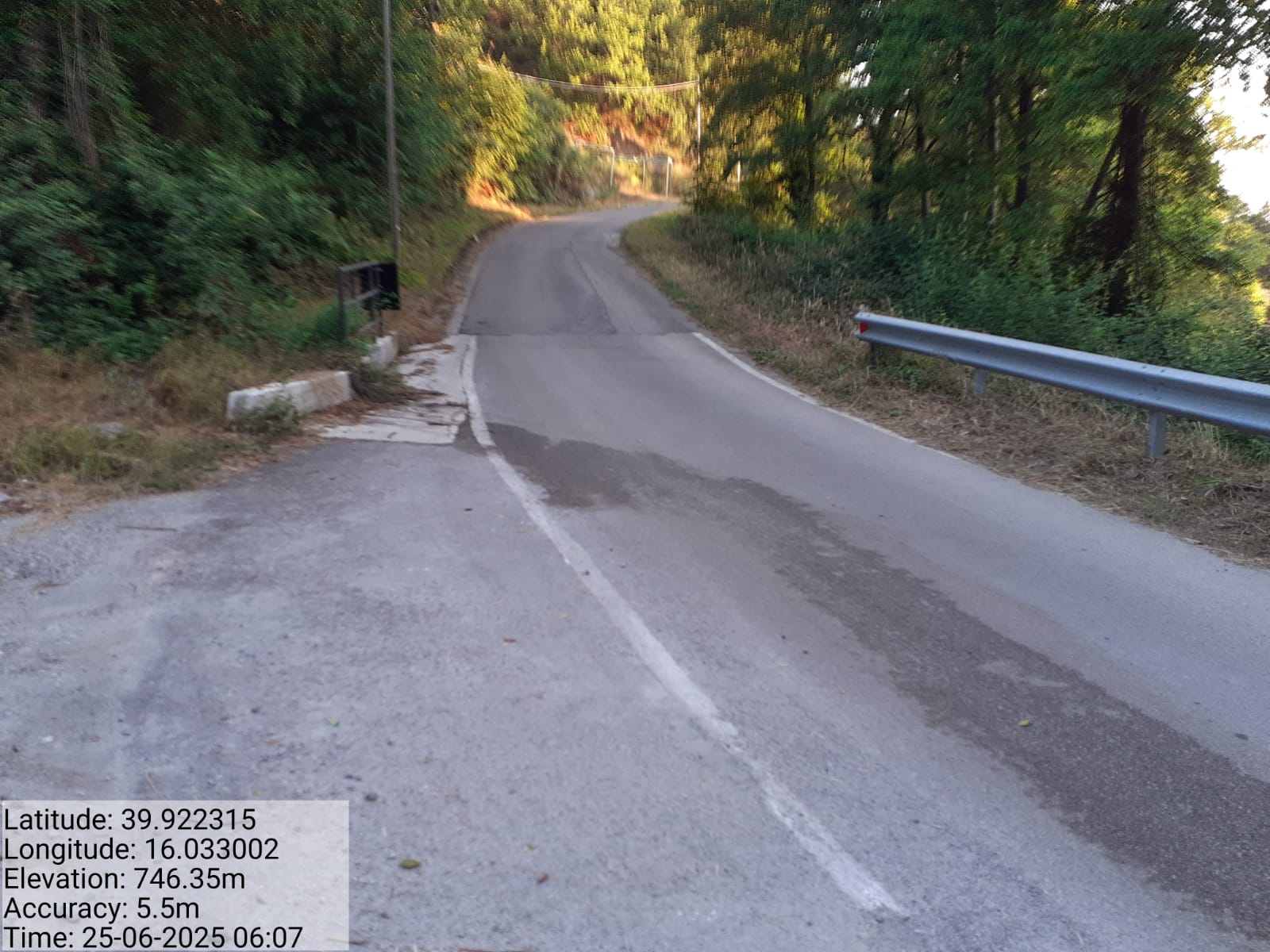 Galleria Fotografica Immagine