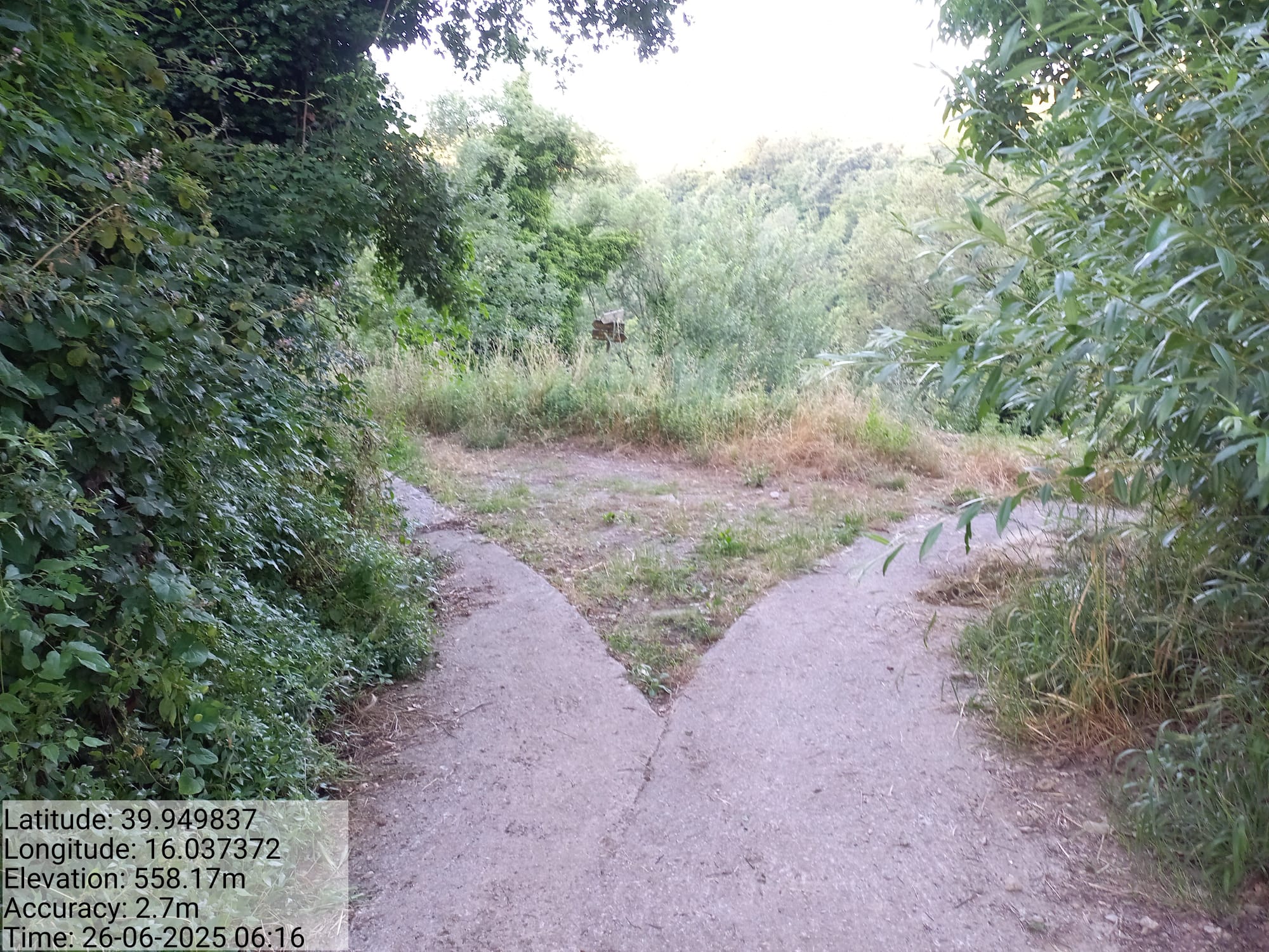 Galleria Fotografica Immagine