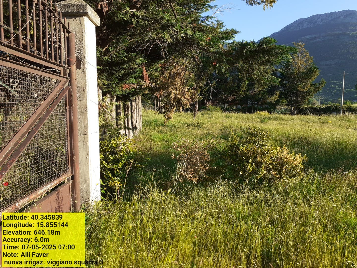 Galleria Fotografica Immagine