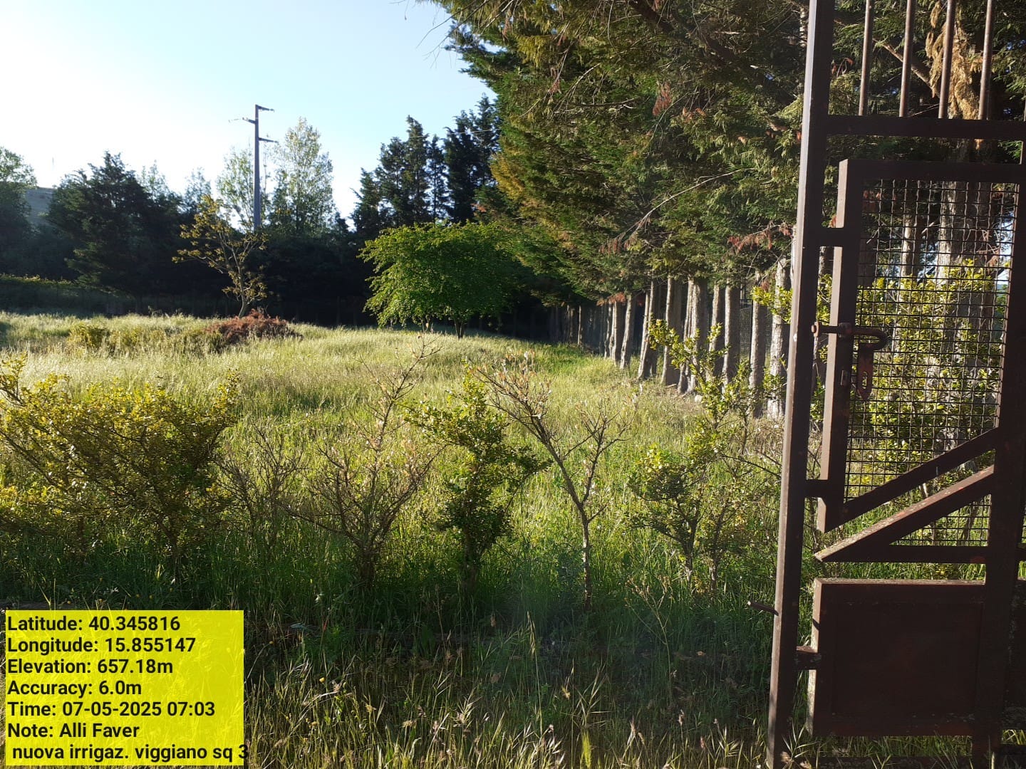 Galleria Fotografica Immagine