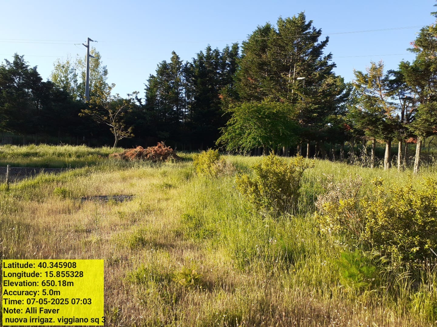 Galleria Fotografica Immagine