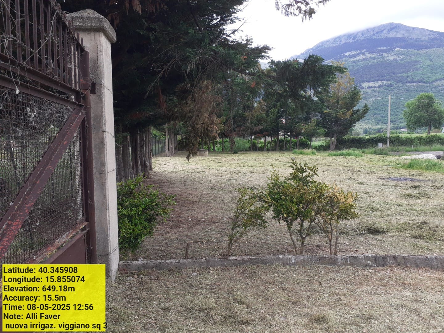 Galleria Fotografica Immagine