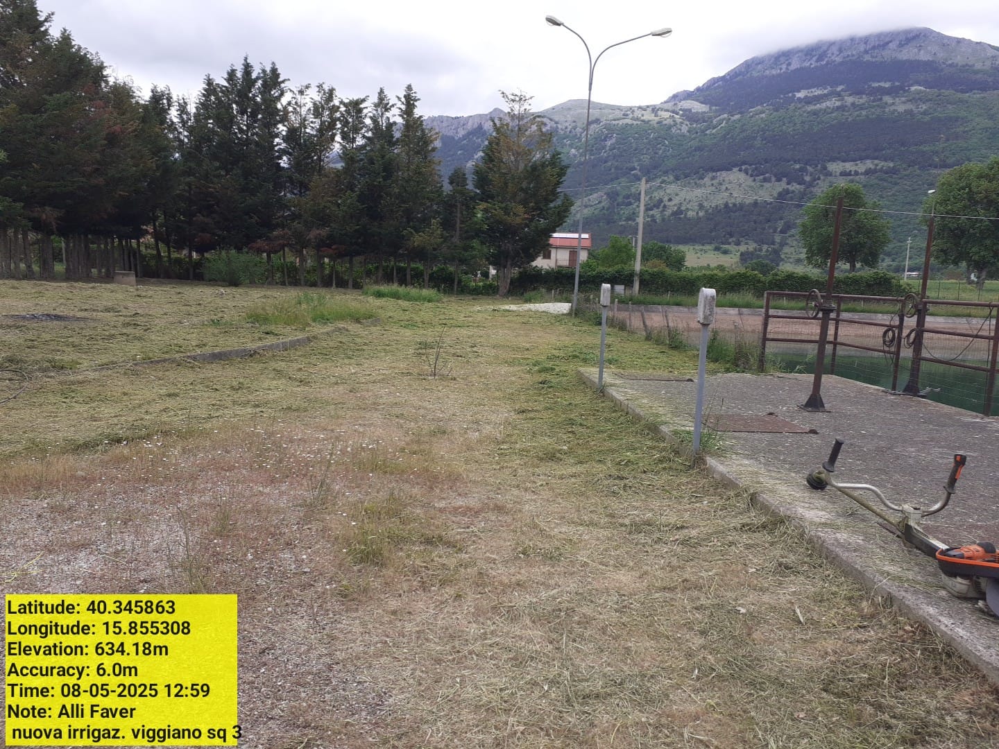 Galleria Fotografica Immagine