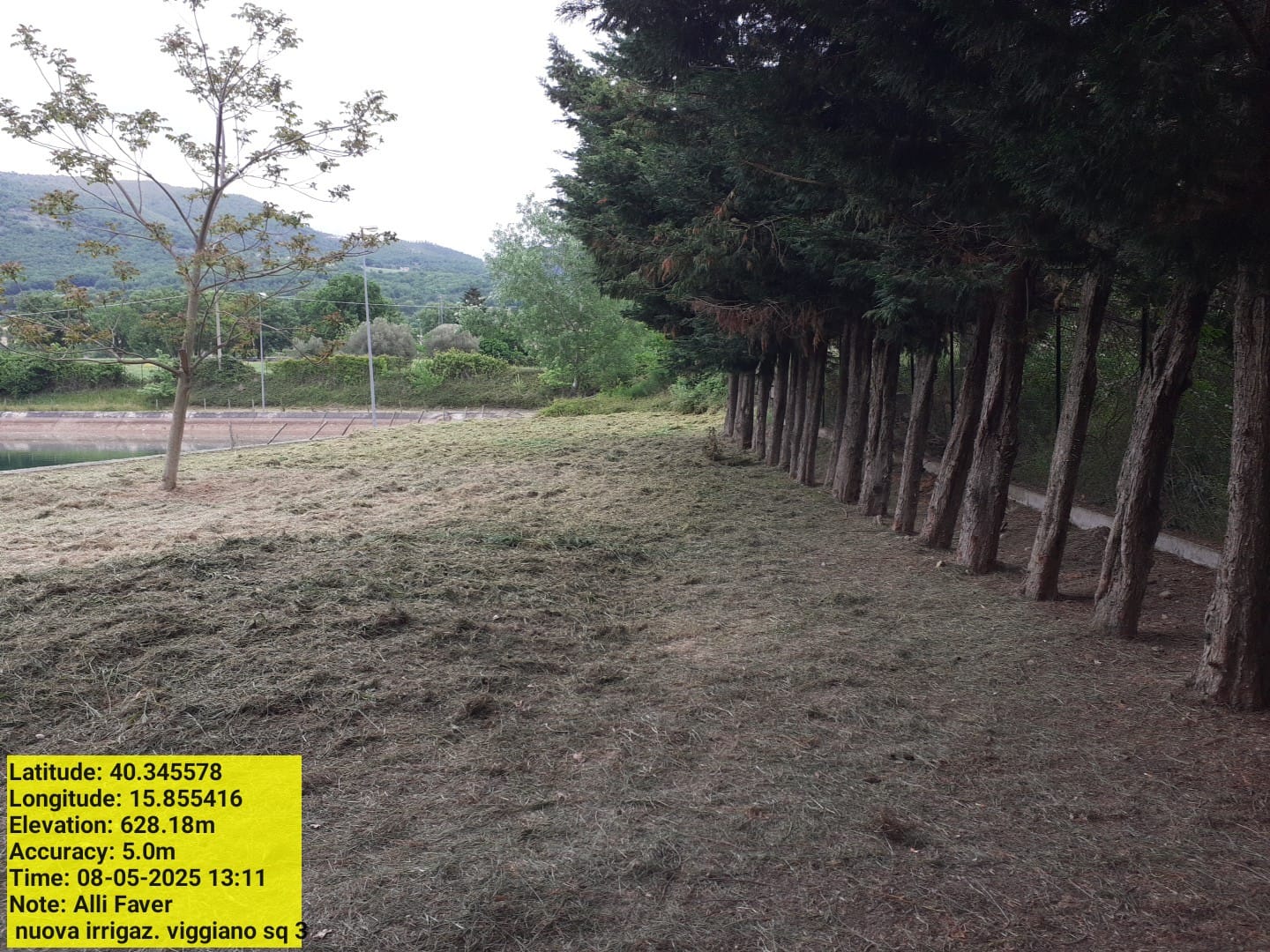 Galleria Fotografica Immagine