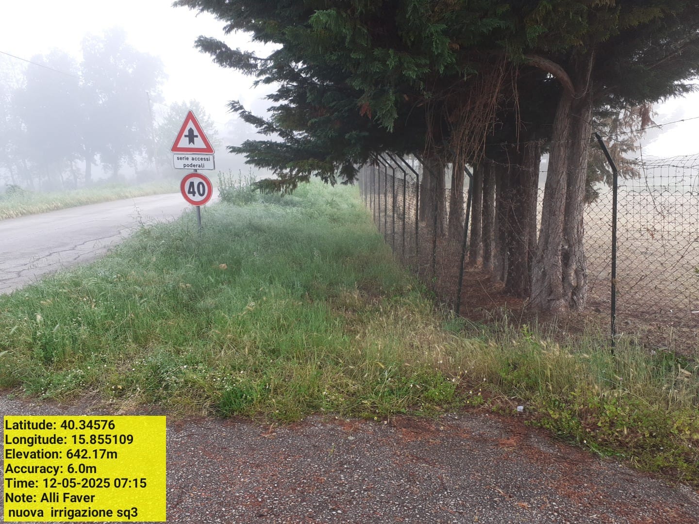 Galleria Fotografica Immagine