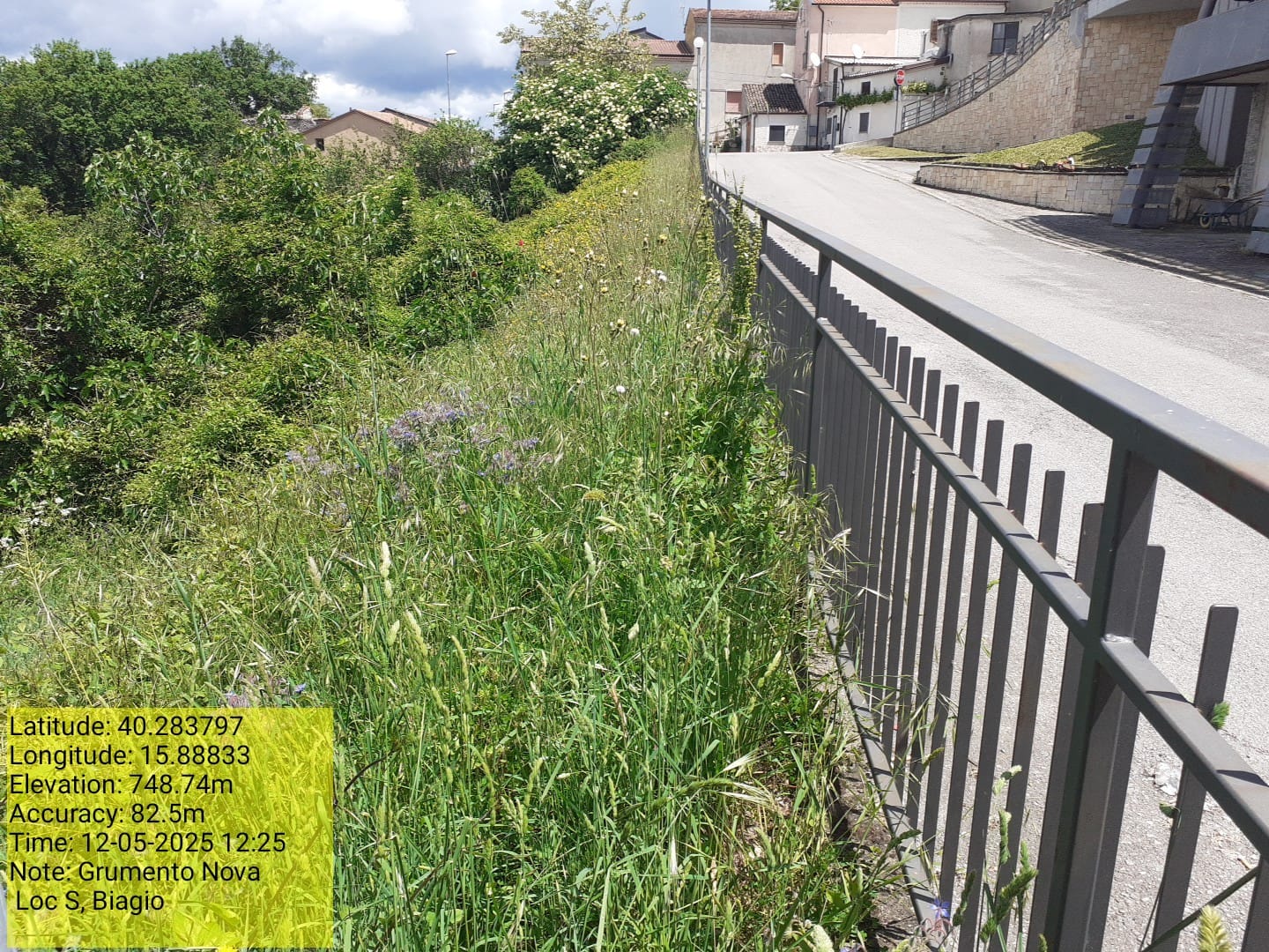 Galleria Fotografica Immagine