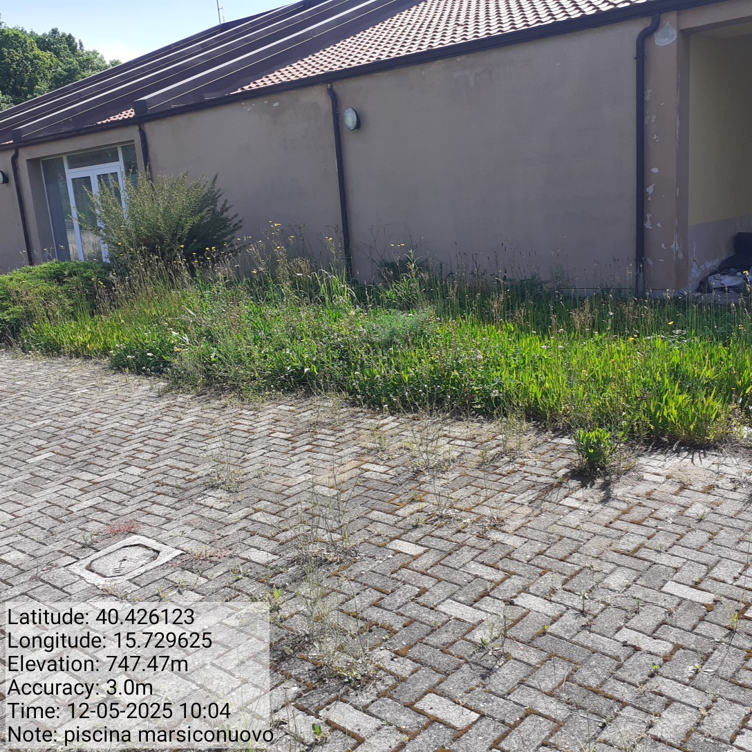 Galleria Fotografica Immagine