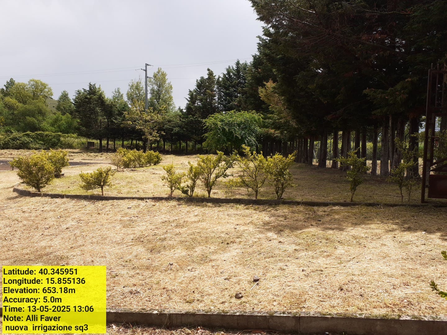 Galleria Fotografica Immagine