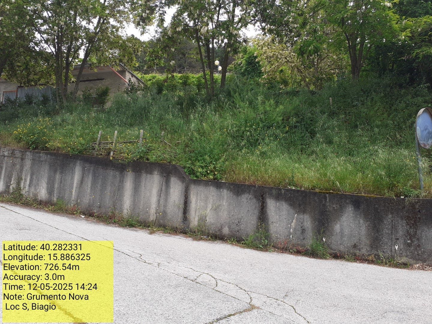 Galleria Fotografica Immagine