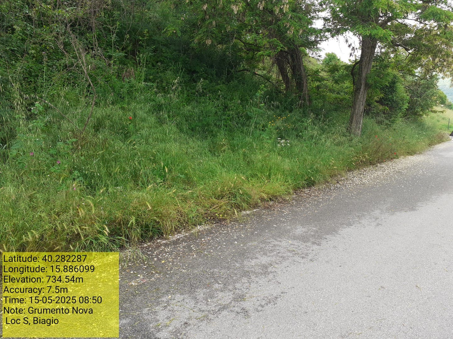 Galleria Fotografica Immagine