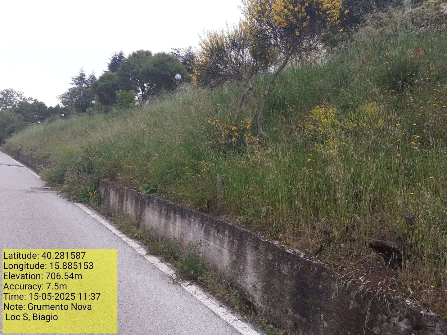 Galleria Fotografica Immagine