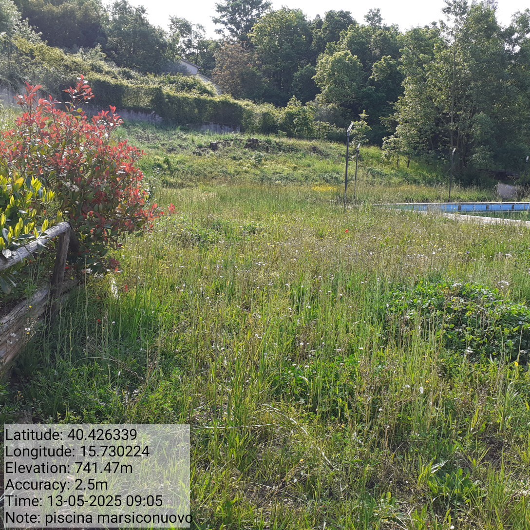 Galleria Fotografica Immagine