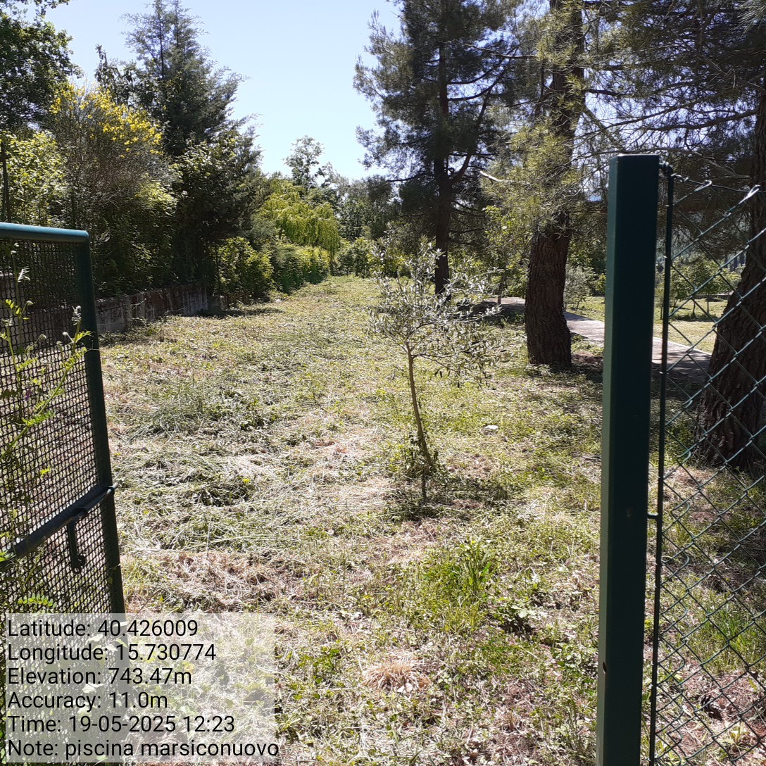 Galleria Fotografica Immagine