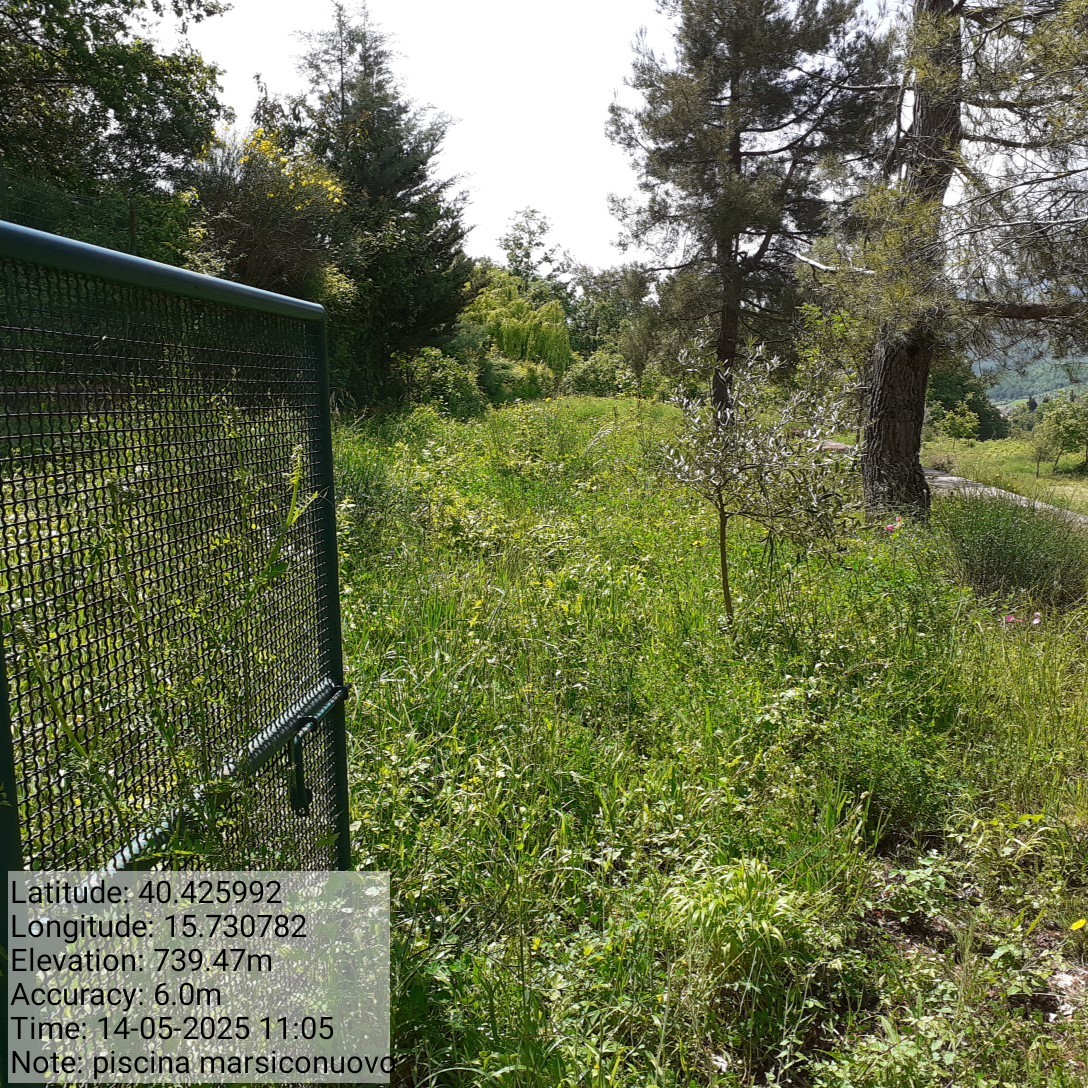 Galleria Fotografica Immagine