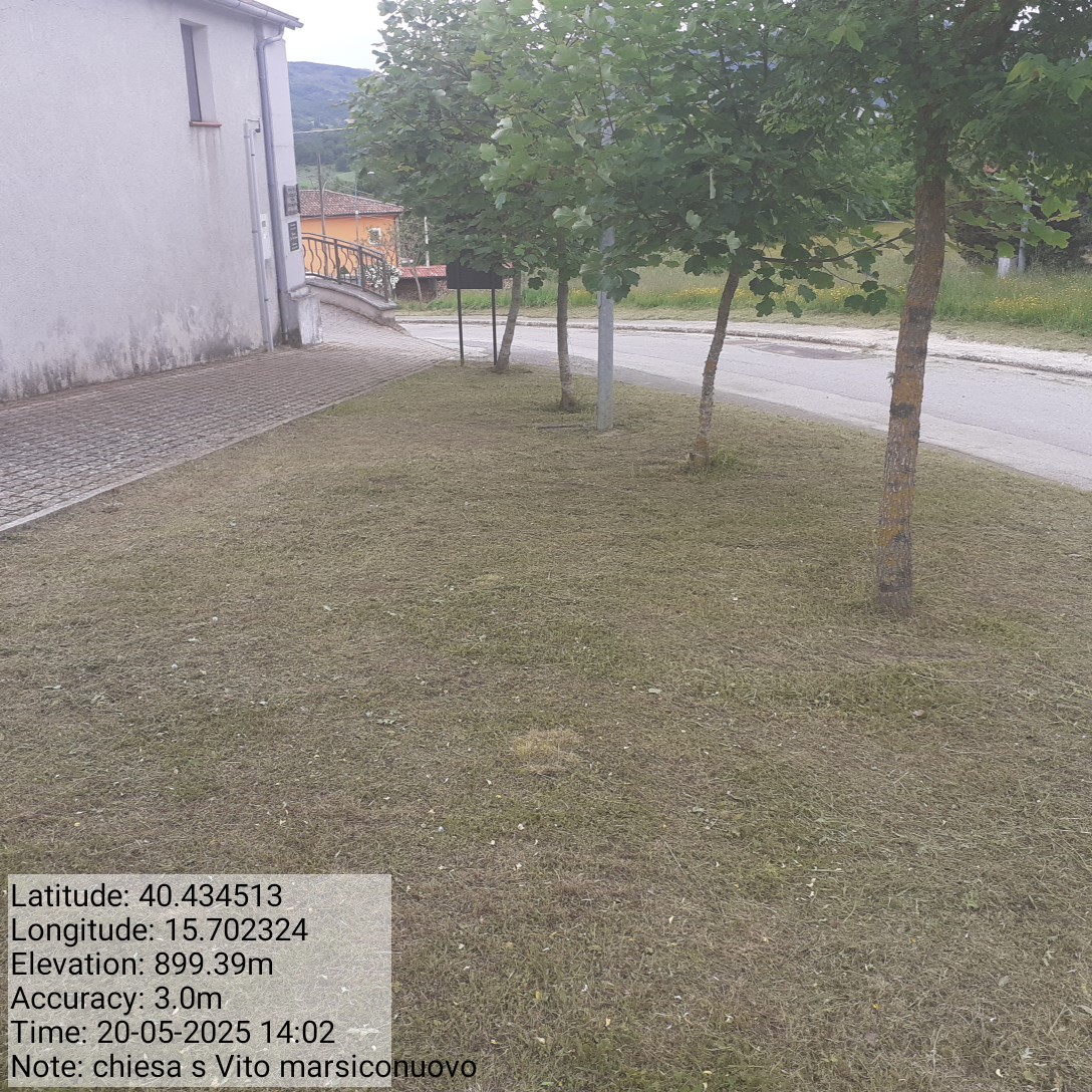 Galleria Fotografica Immagine