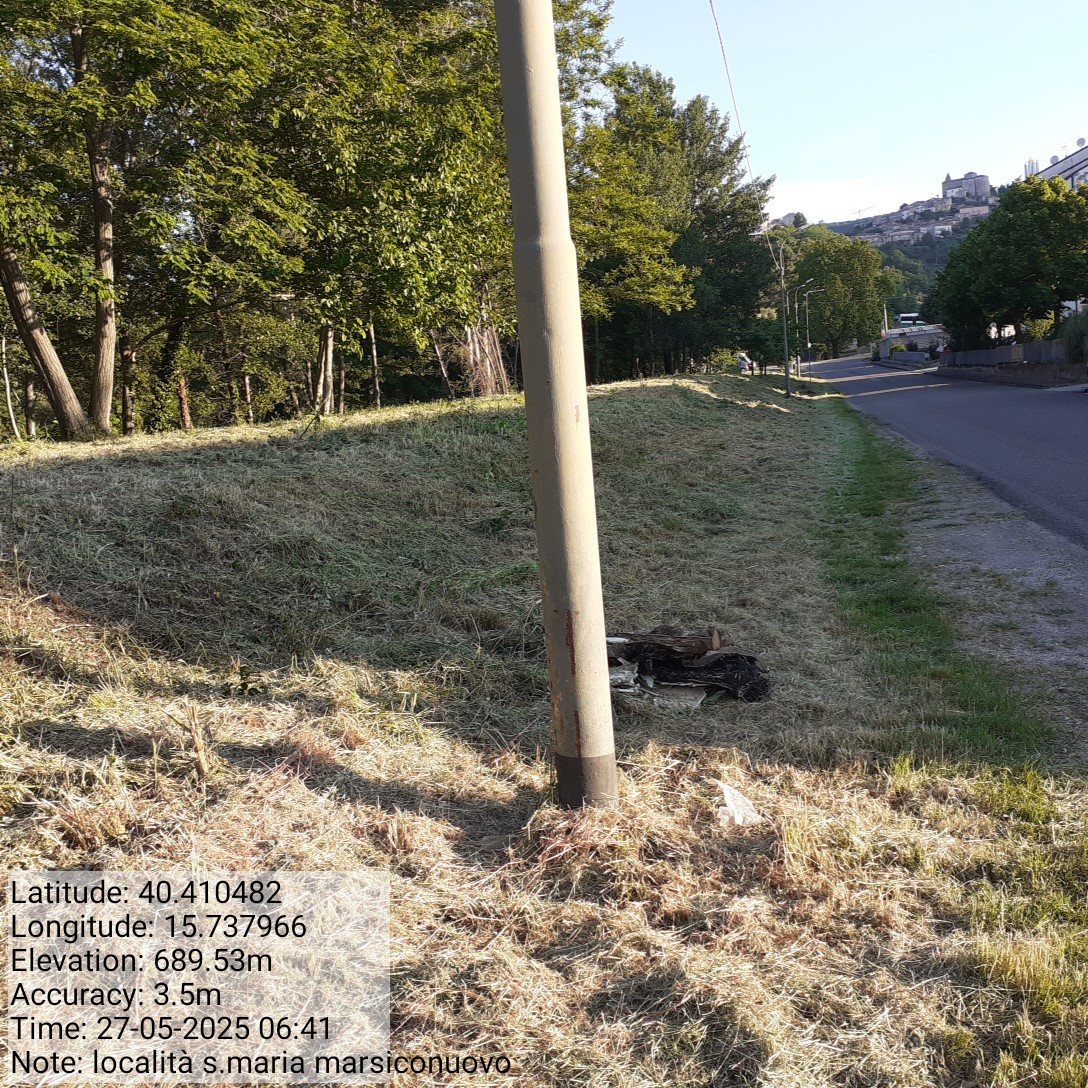 Galleria Fotografica Immagine