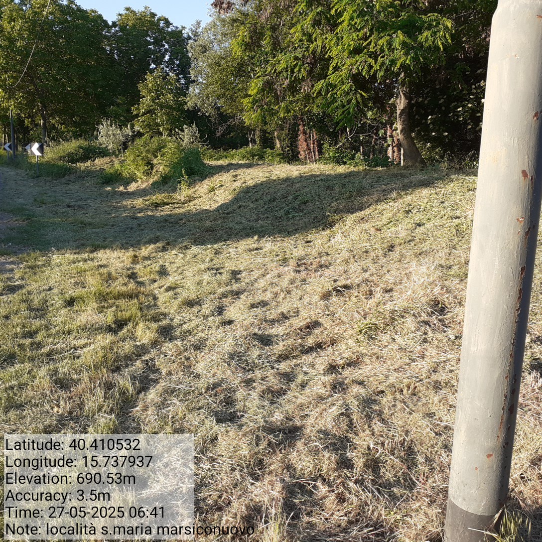 Galleria Fotografica Immagine