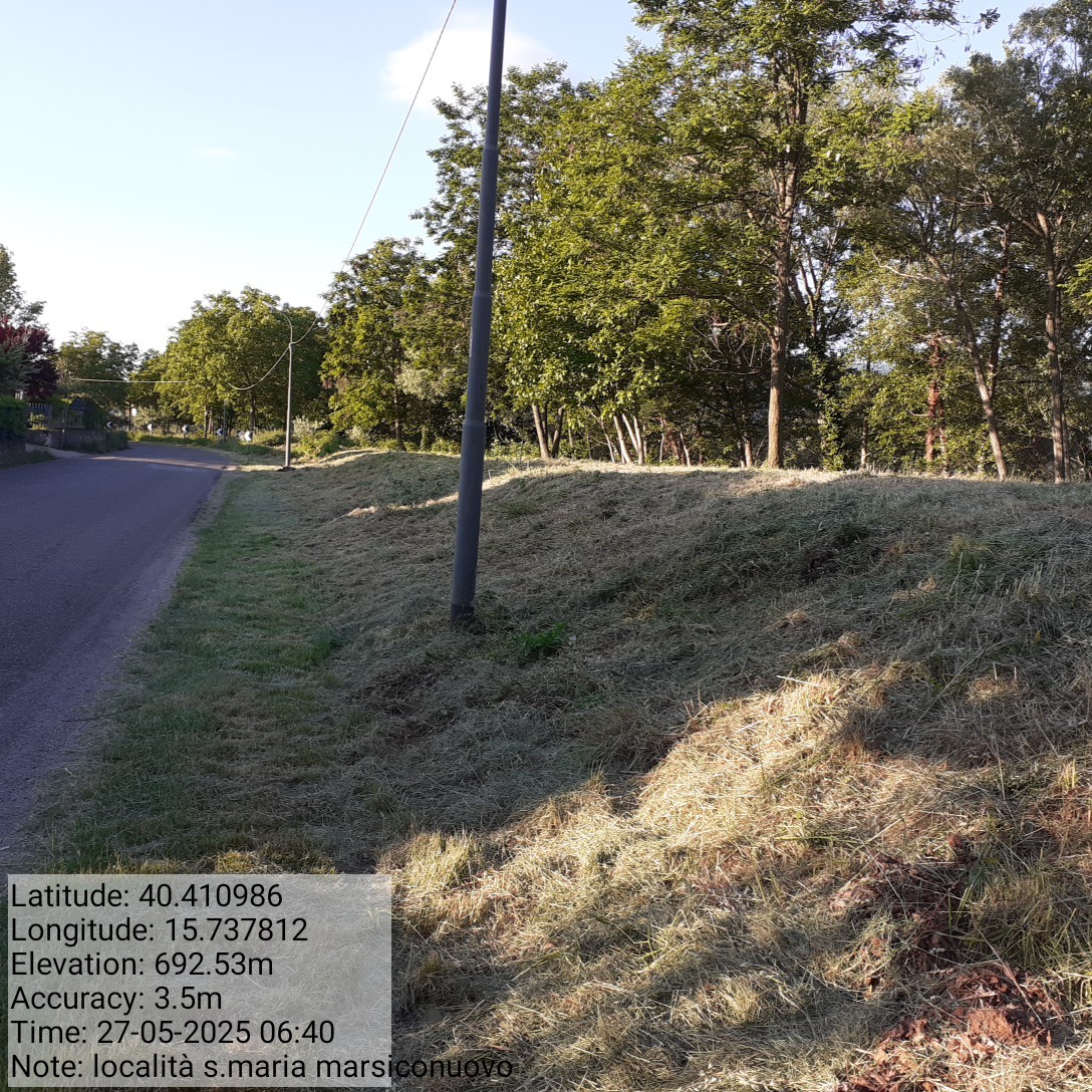 Galleria Fotografica Immagine