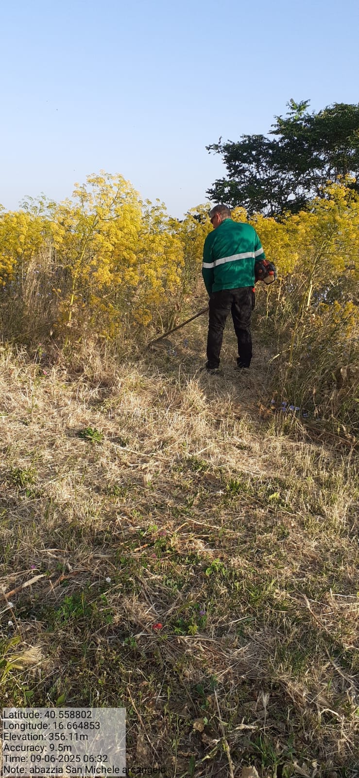 Galleria Fotografica Immagine