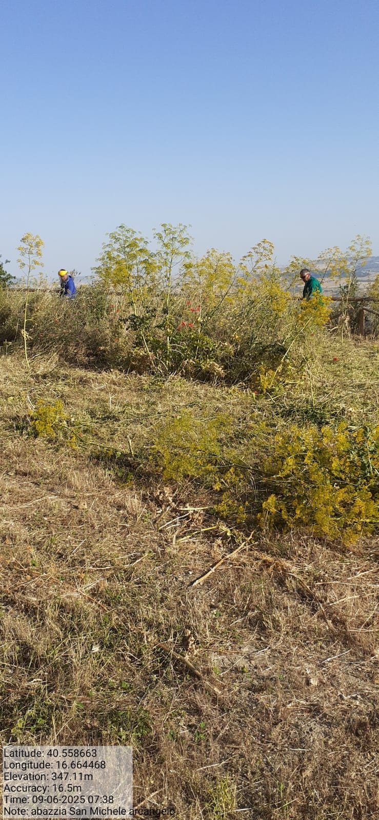 Galleria Fotografica Immagine