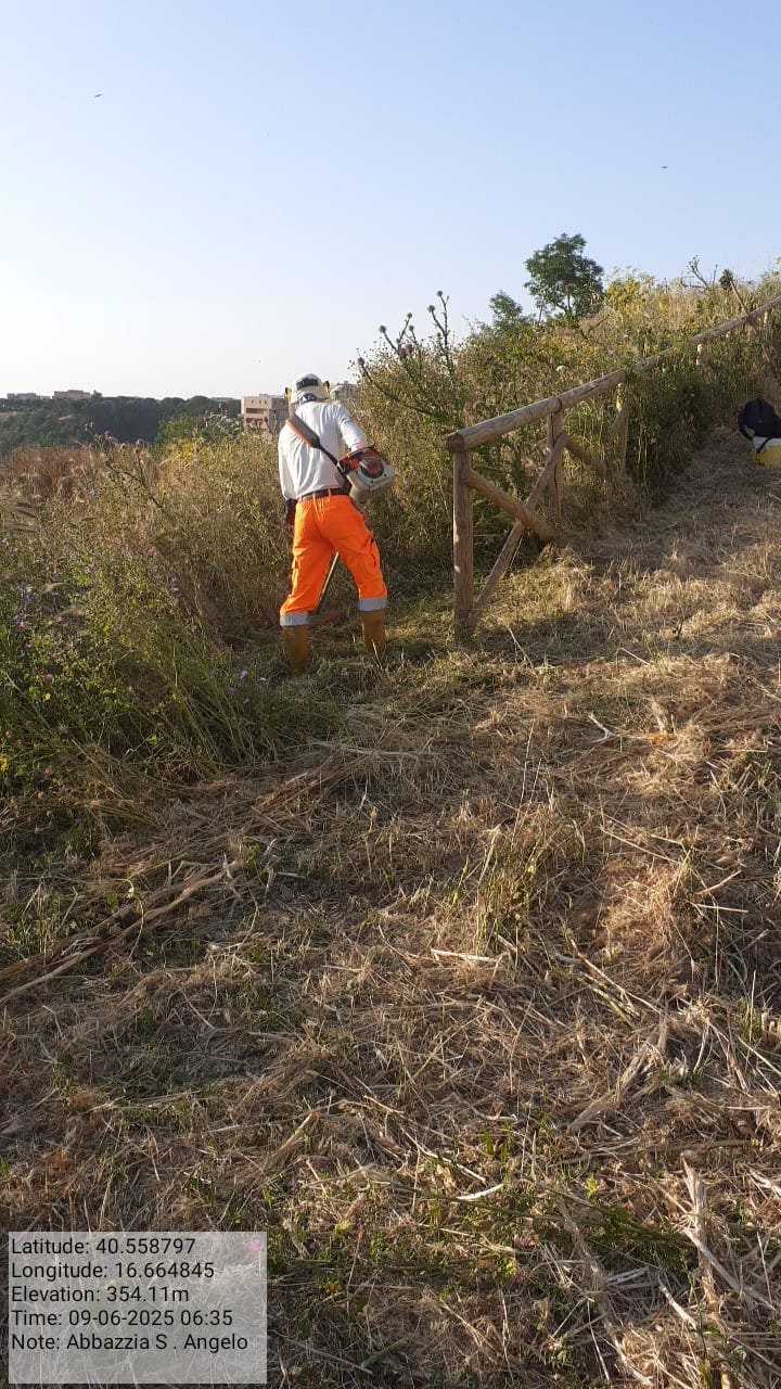 Galleria Fotografica Immagine