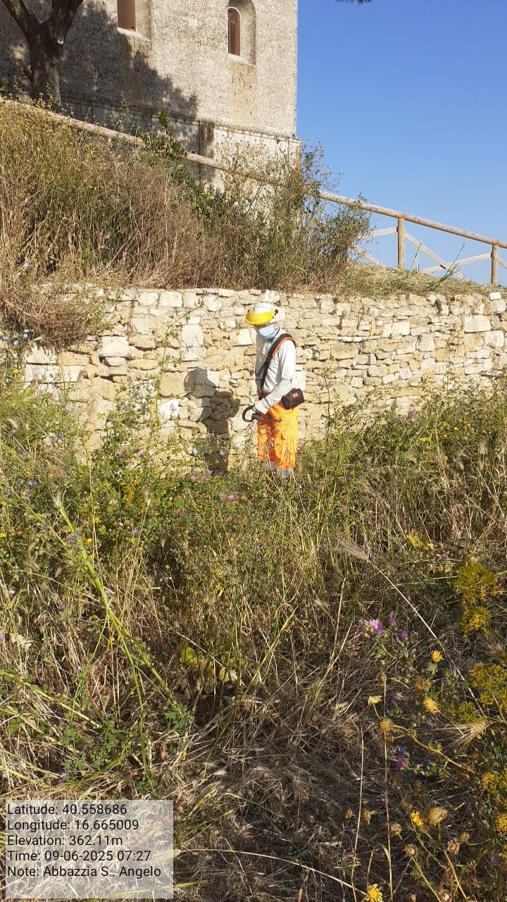 Galleria Fotografica Immagine