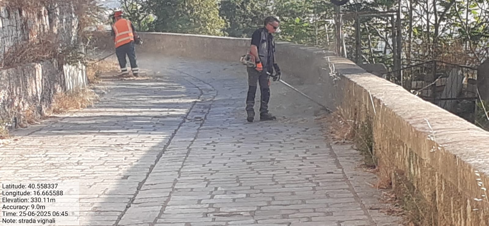 Galleria Fotografica Immagine