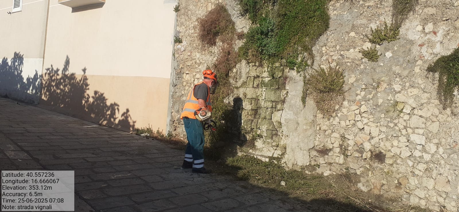 Galleria Fotografica Immagine