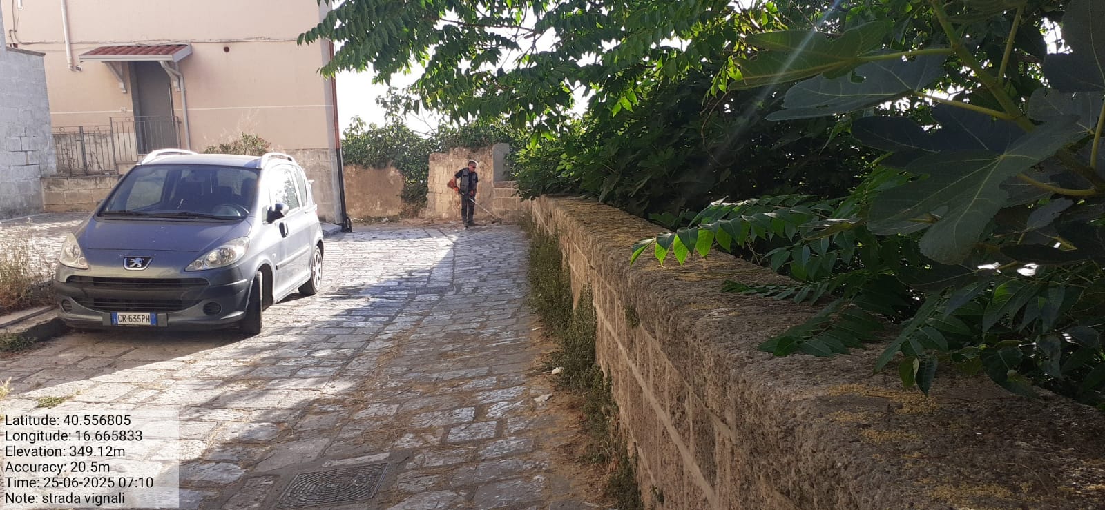 Galleria Fotografica Immagine