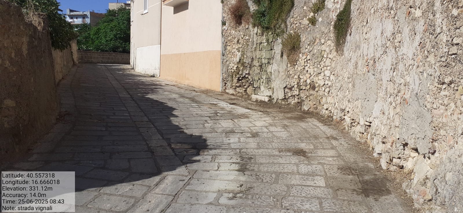 Galleria Fotografica Immagine