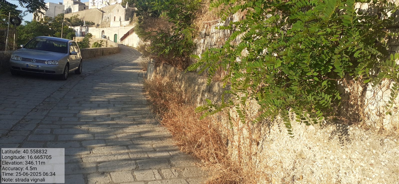 Galleria Fotografica Immagine