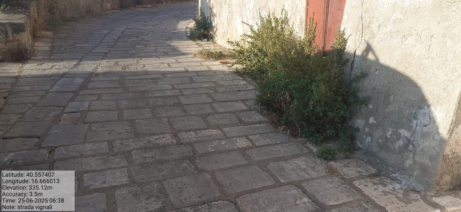 Galleria Fotografica Immagine