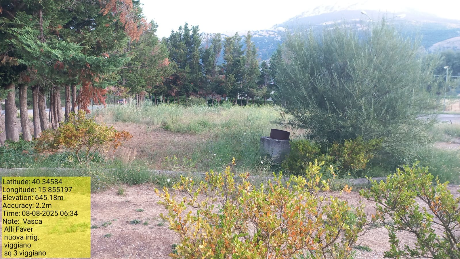 Galleria Fotografica Immagine